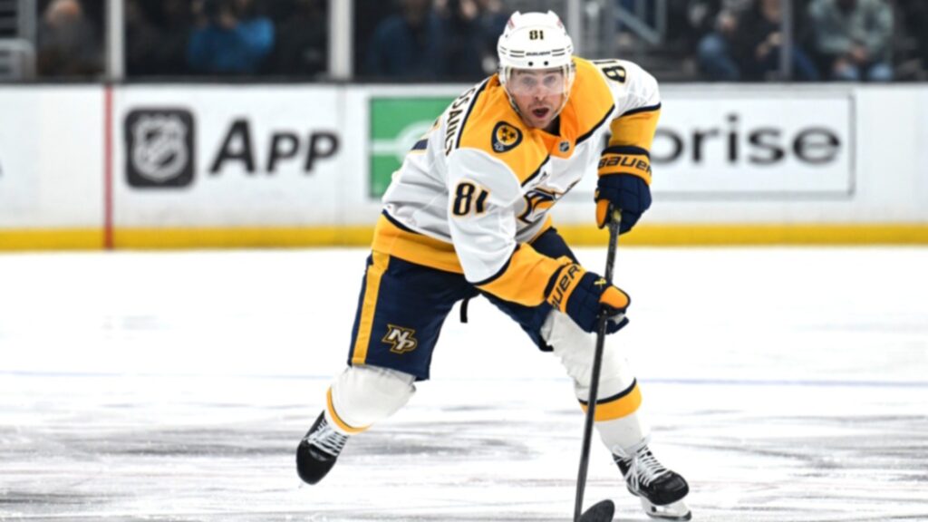 Image credit : @officialnhlrumors on Instagram