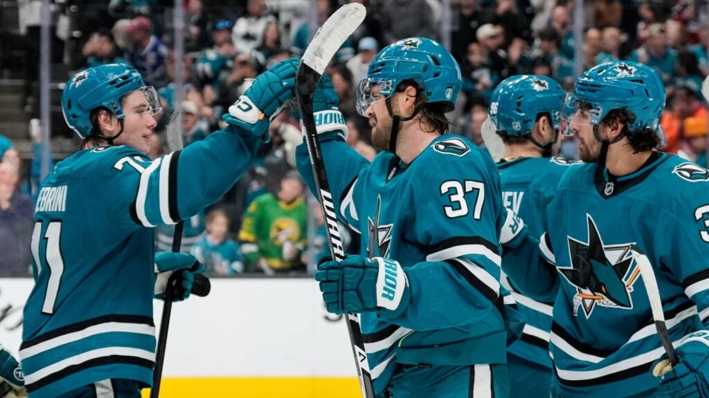 Credit: @sanjosesharks on Instagram