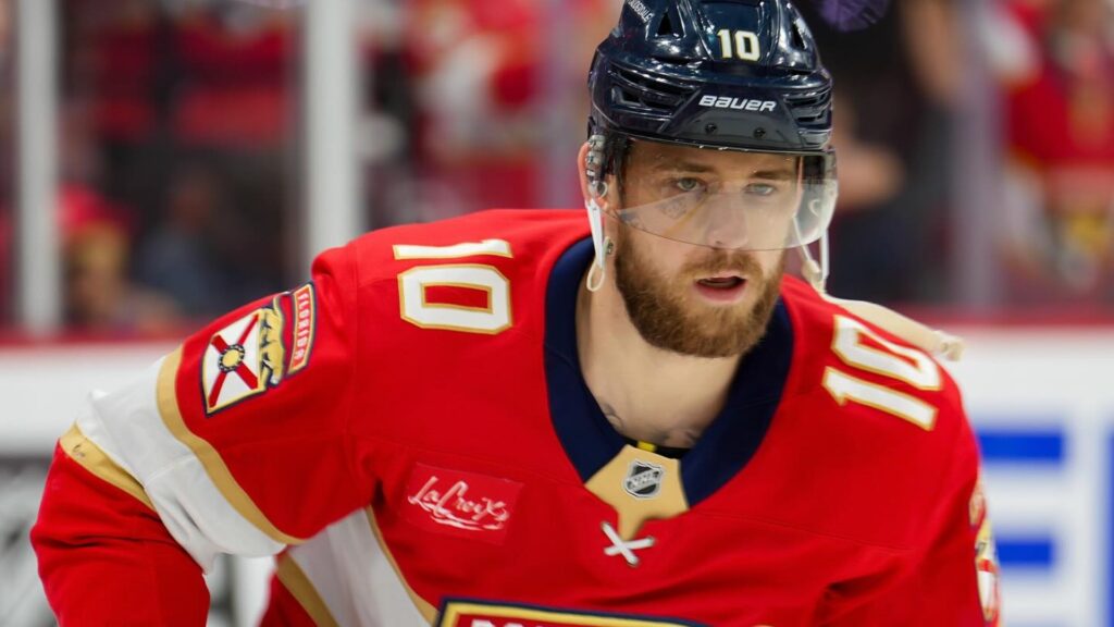 Image credit : @flapanthers on Instagram