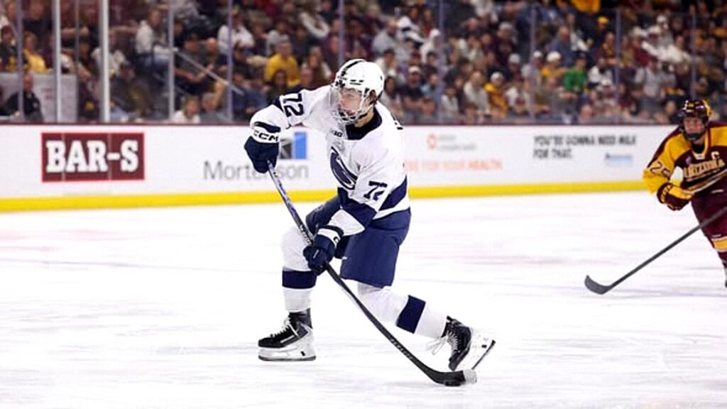 Image credit : @Leafs-Digest on Facebook