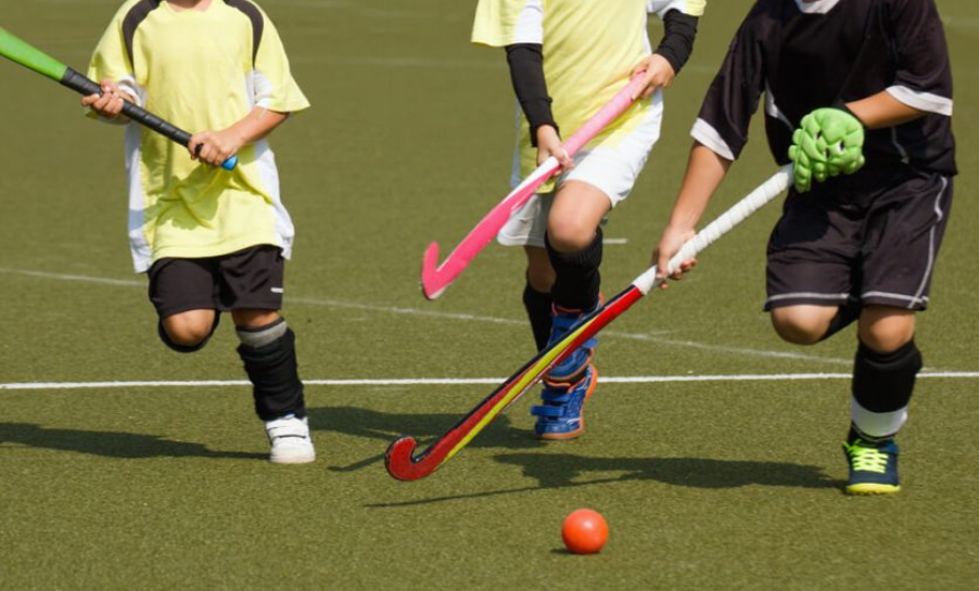 Image credit : eurokidsindia.com