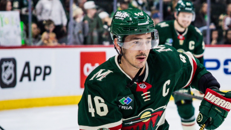 Image credit : @minnesotawild via instagram