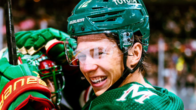 Image credit : @minnesotawild via facebook