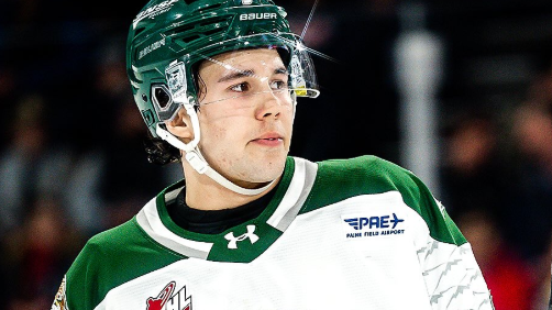 Image credit : @westernhockeyleague via instagram