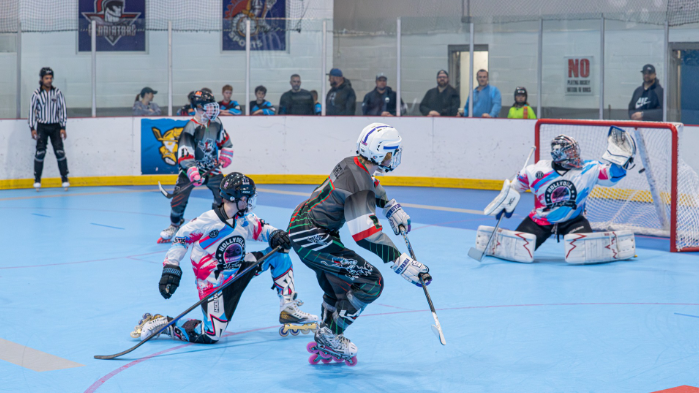 Image credit : @rollerhockeylondon via instagram