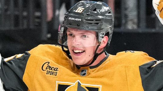 Image credit : @nhl via instagram