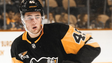 Image credit : @wbspenguins via instagram