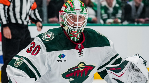 Image credit : @minnesotawild via instagram