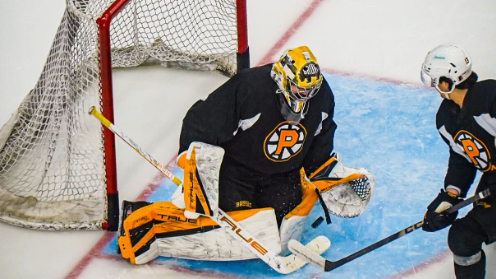 Image credit : @ahlbruins via instagram