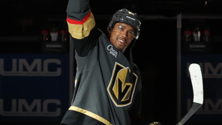 Image credit : @vegasgoldenknights via instagram