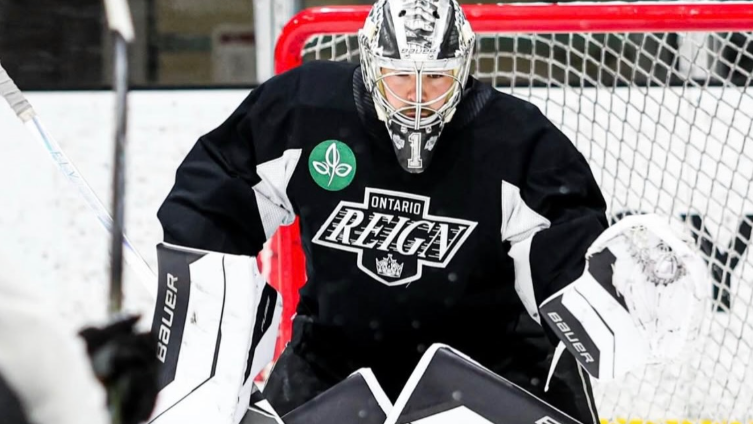 Image credit : @goaliegearnerd via instagram